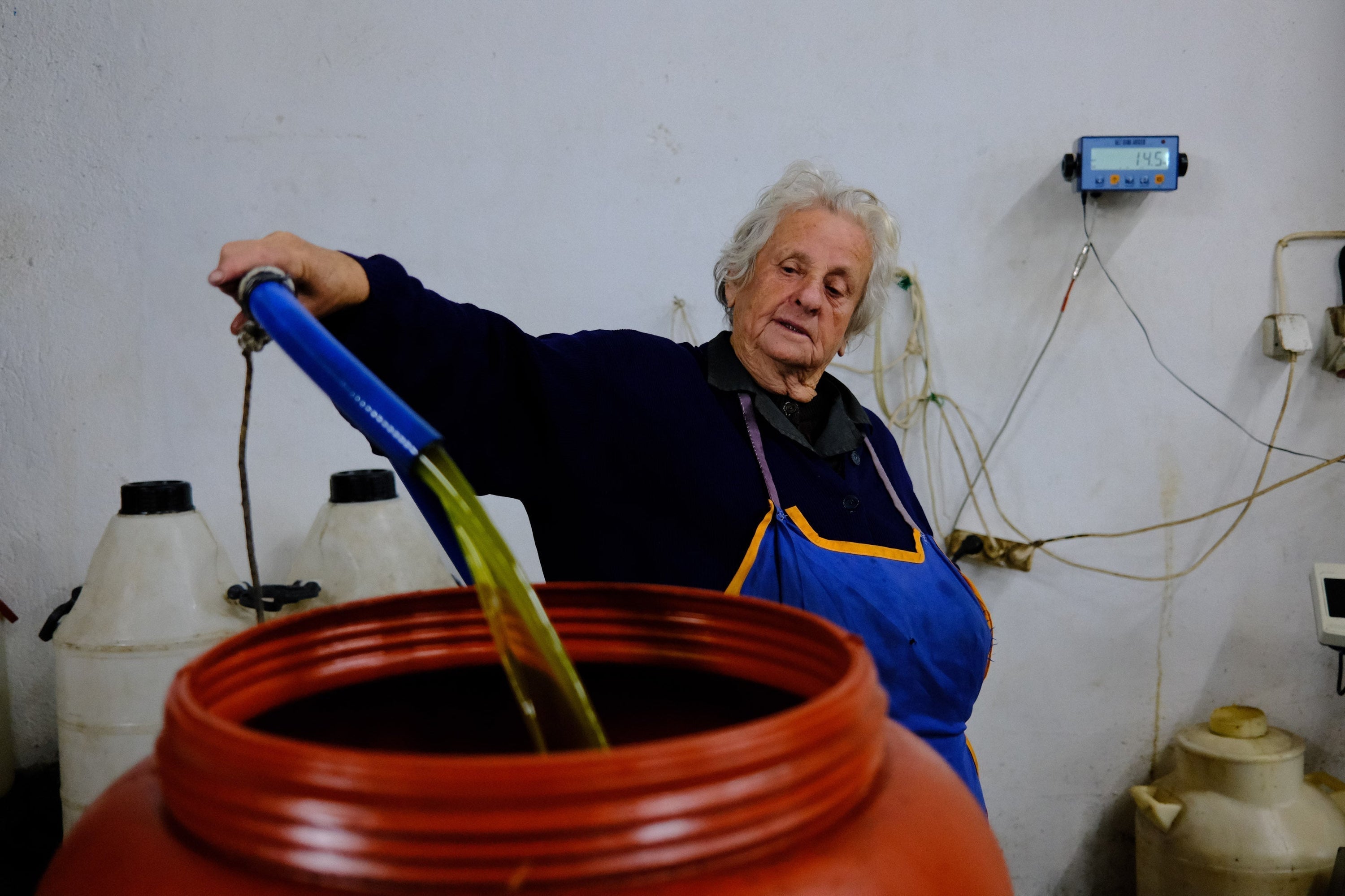 The Secrets of Mediterranean Longevity - by Olya