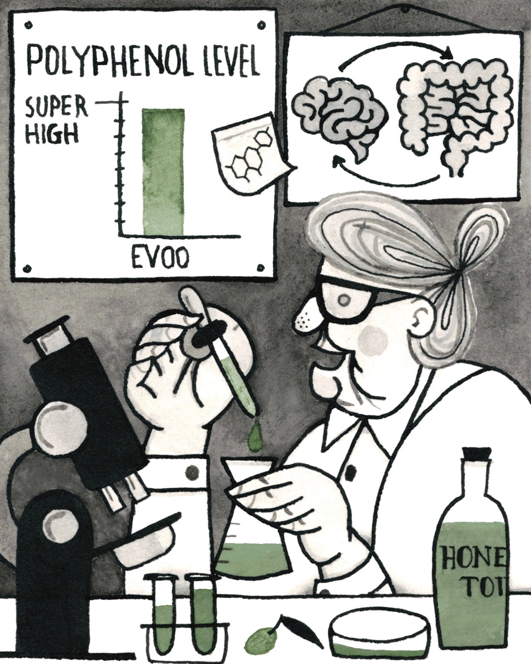 What are olive oil polyphenols and why are they so important for health?