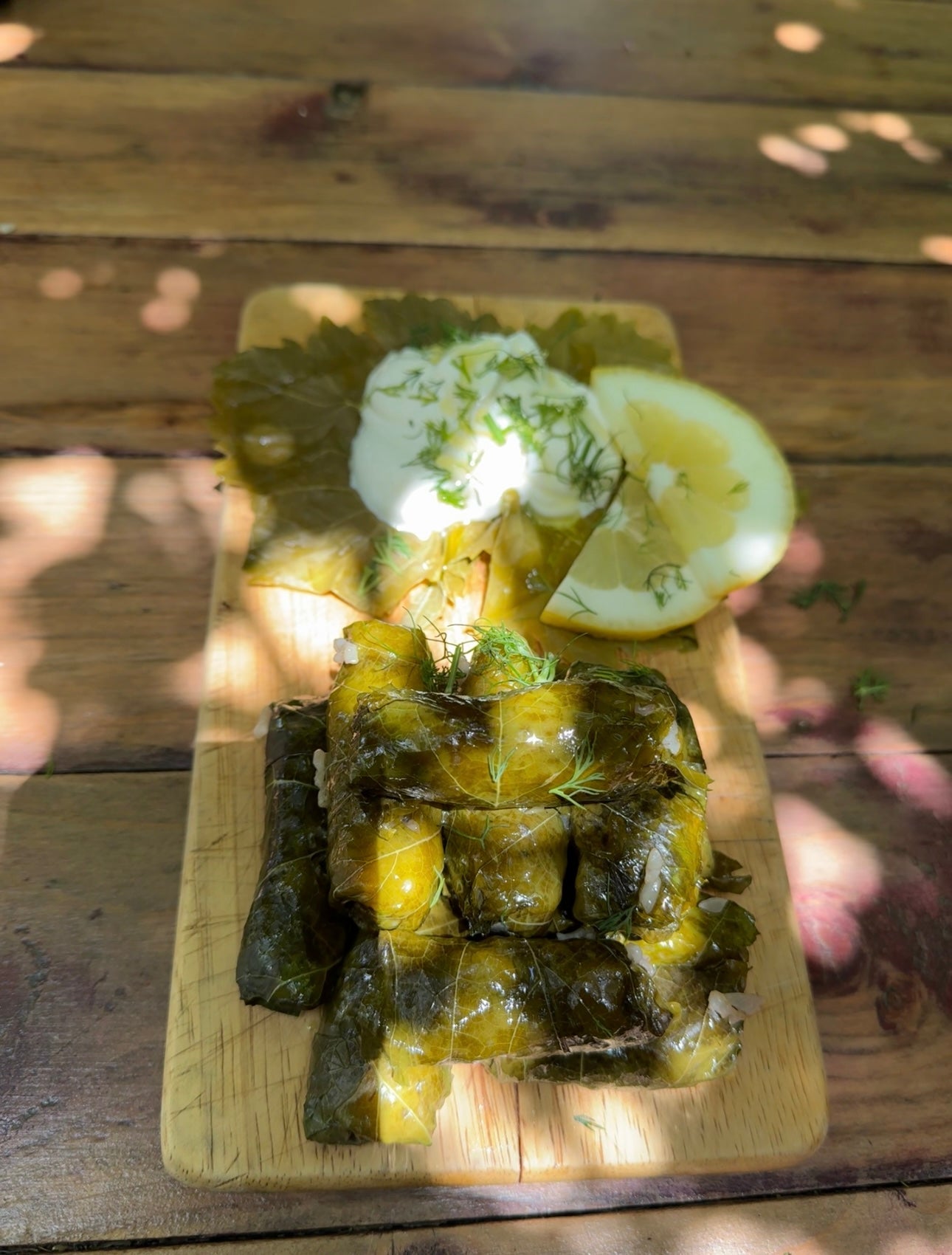 Dolmadakia Yialantzi (Stuffed Vine Leaves with Rice & Herbs)