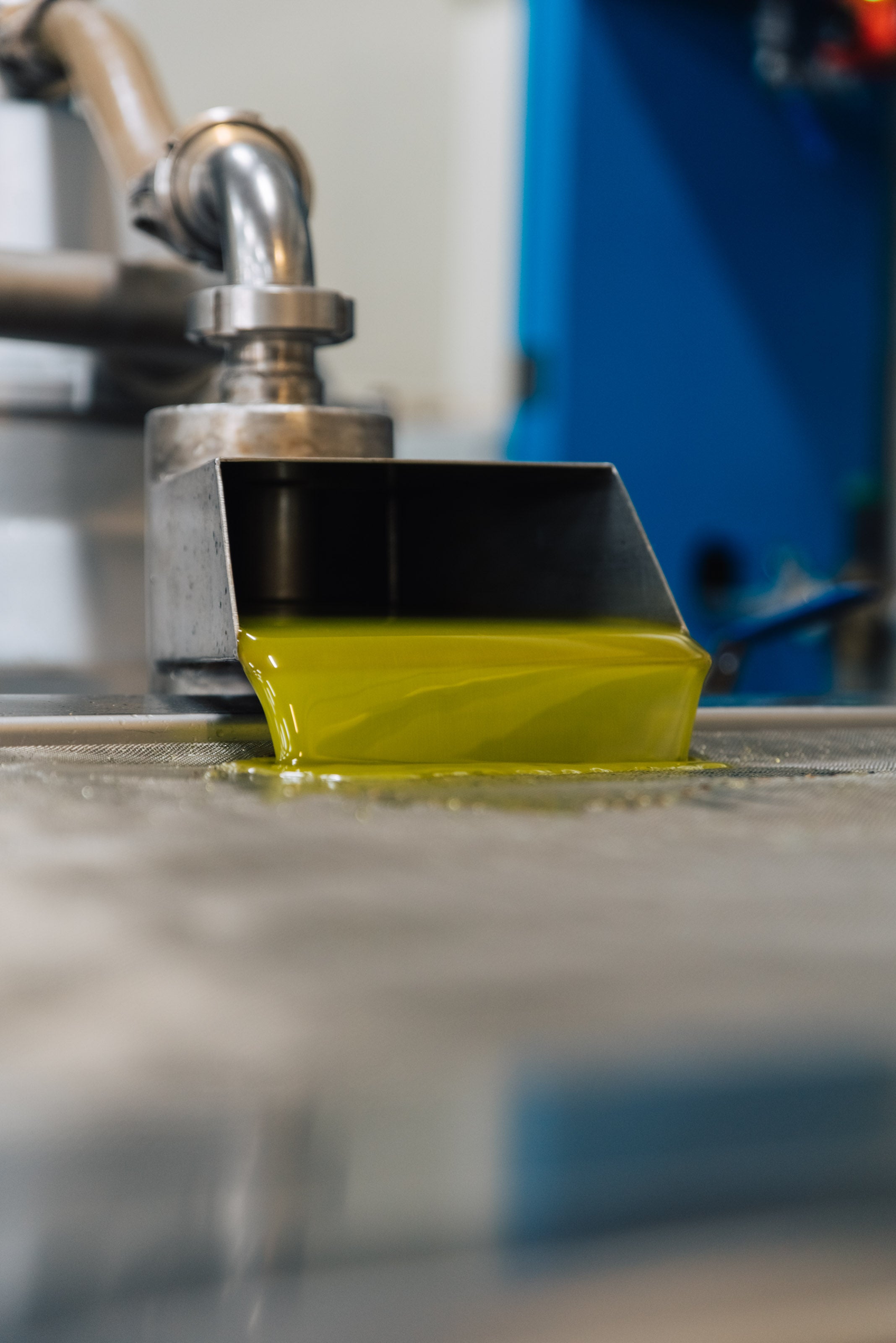 PRE ORDER 2025 HARVEST - 500ml Dark Bottle