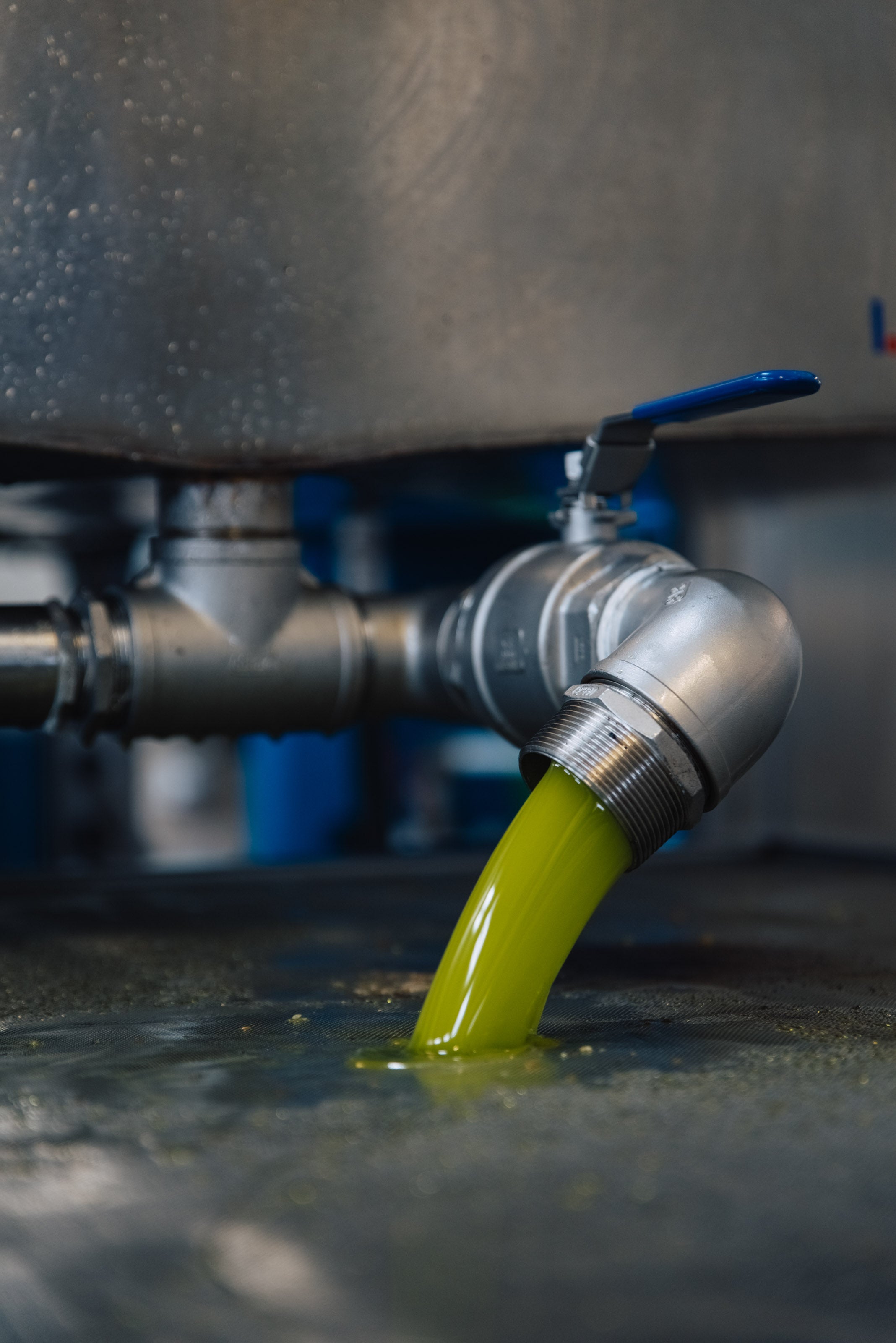 PRE ORDER 2025 HARVEST - 3 Litre Box