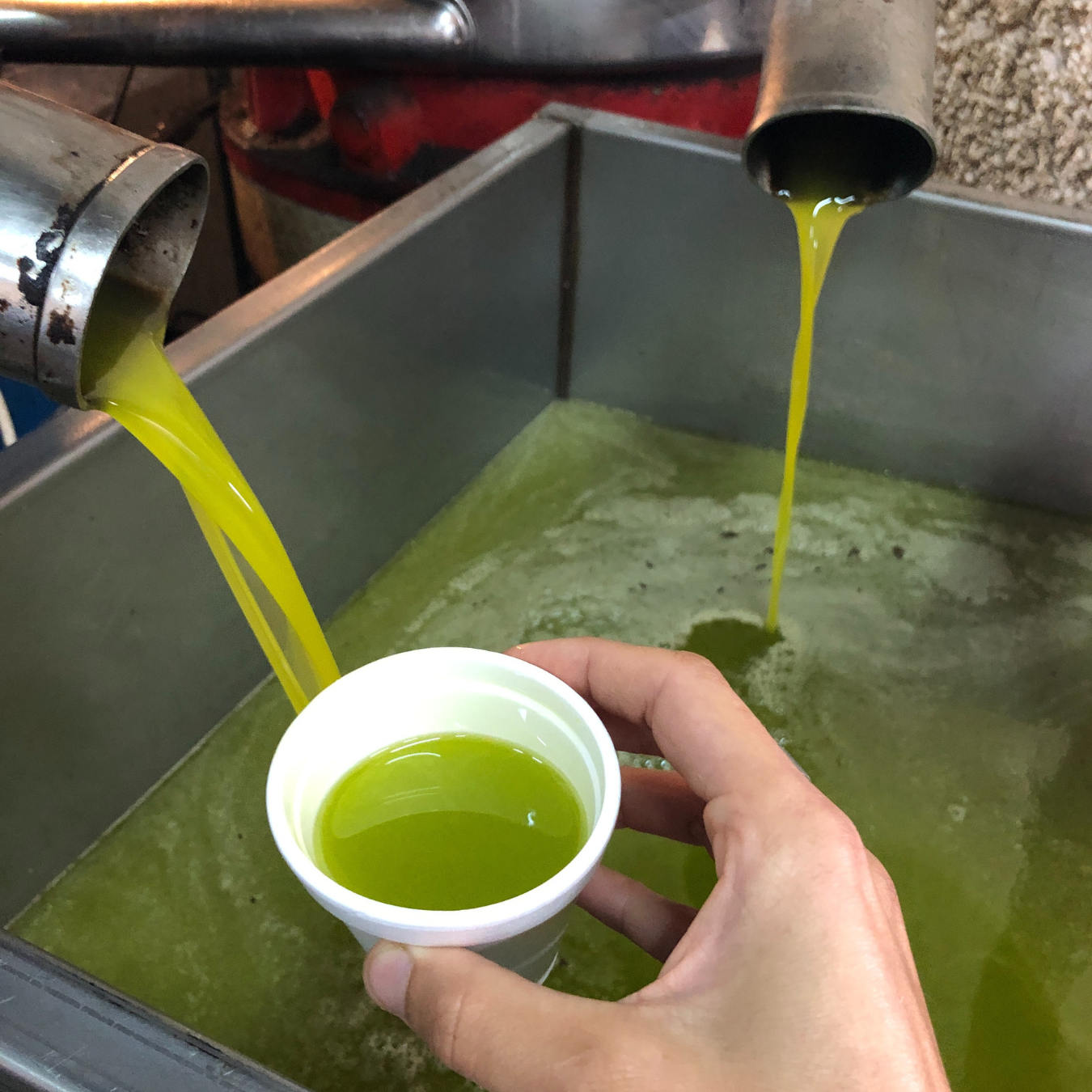 PRE ORDER 2025 HARVEST - 3 Litre Box