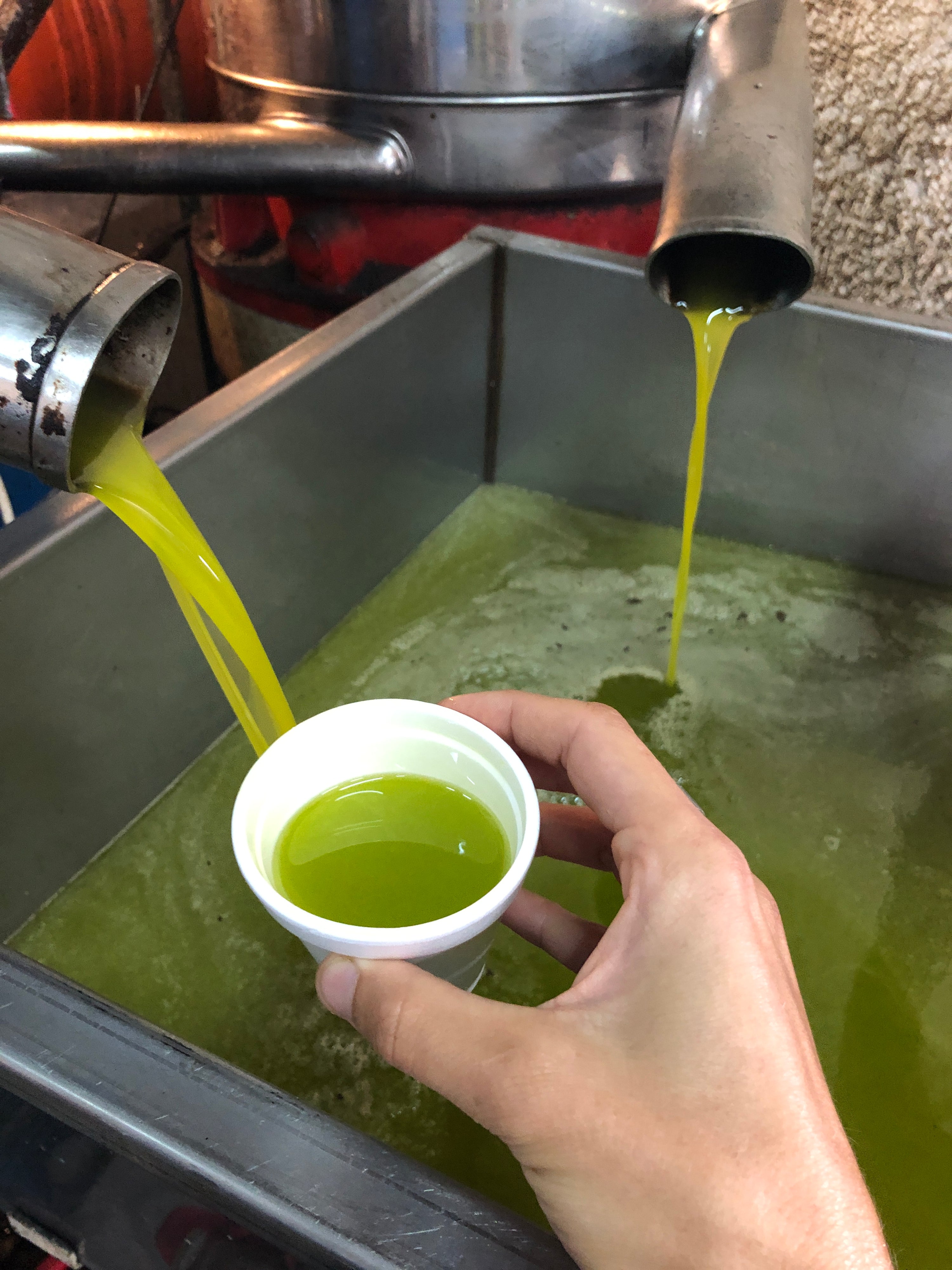 PRE ORDER 2025 HARVEST - 5 Litre Illustrated Can